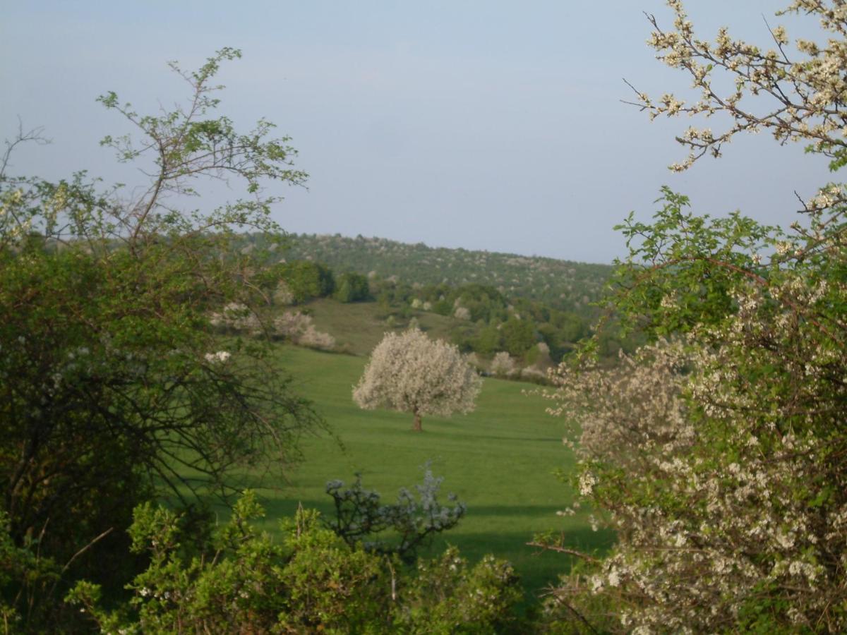 Ubytovanie Na Vcelej Farme Polichno Exteriér fotografie